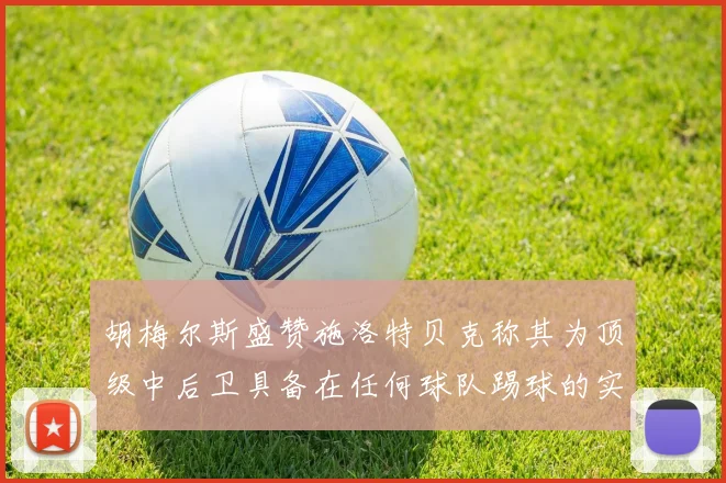 胡梅尔斯盛赞施洛特贝克称其为顶级中后卫具备在任何球队踢球的实力