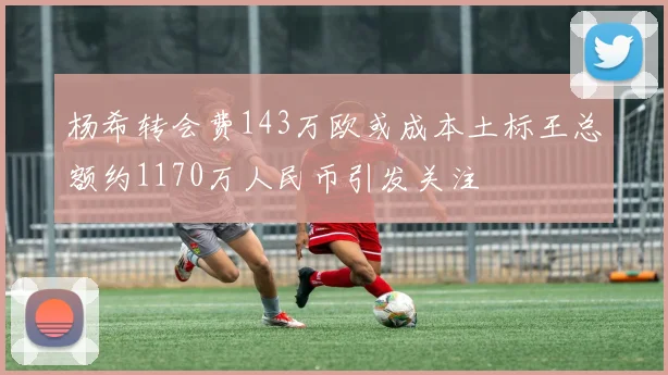 杨希转会费143万欧或成本土标王总额约1170万人民币引发关注